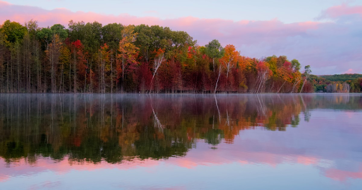 Oscoda County, Michigan Marijuana Real Estate For Sale